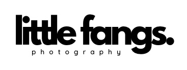 little fangs photography